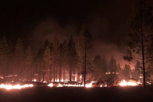 Kebakaran Hutan 290.000 Hektar di Oregon AS, 2.000 Warga Mengungsi