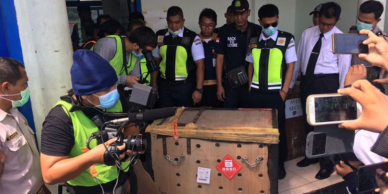 NAM Air (sister company Sriwijaya Air) memberikan transportasi udara gratis dari Jakarta ke Sampit, Kalimantan Tengah untuk orangutan bernama Taymur dan seorang dokter hewan, Kamis (14/9/2017).