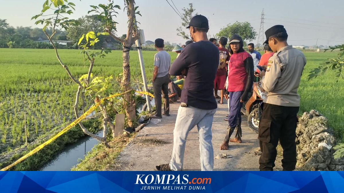 Dalam Sepekan, 2 Orang Tewas Tersengat Jebakan Tikus Beraliran Listrik di Madiun