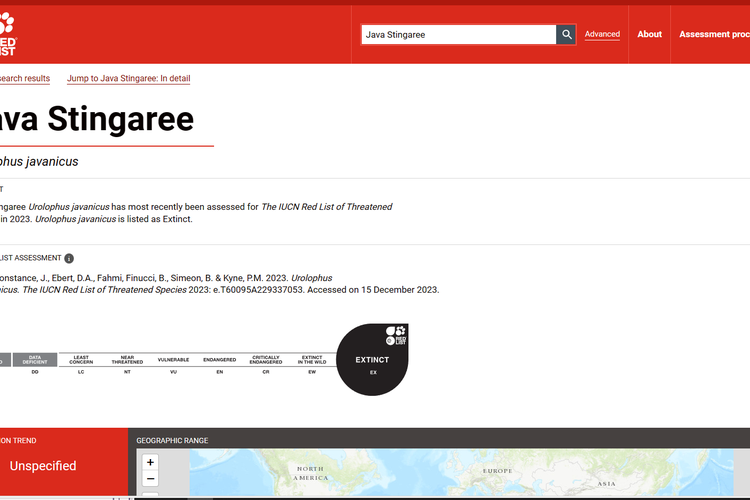 Tangkapan layar dari situs web Uni Internasional untuk Konservasi Alam atau International Union for Conservation of Nature (IUCN) yang menyebutkan bawha ikan pari jawa atau Urolophus javanicus dinyatakan punah.