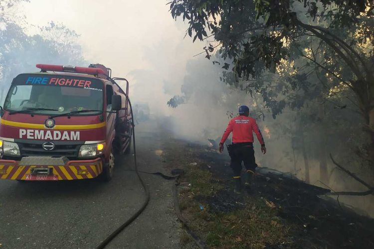 Tahura Bukit Soeharto, Kecamatan Samboja, Kutai Kartanegara, Kaltim terbakar, 10 hektare lebih hangus terbakar