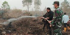 Selamatkan Perkebunan Sawit, Kementan Padamkan Kebakaran Lahan di Kalsel
