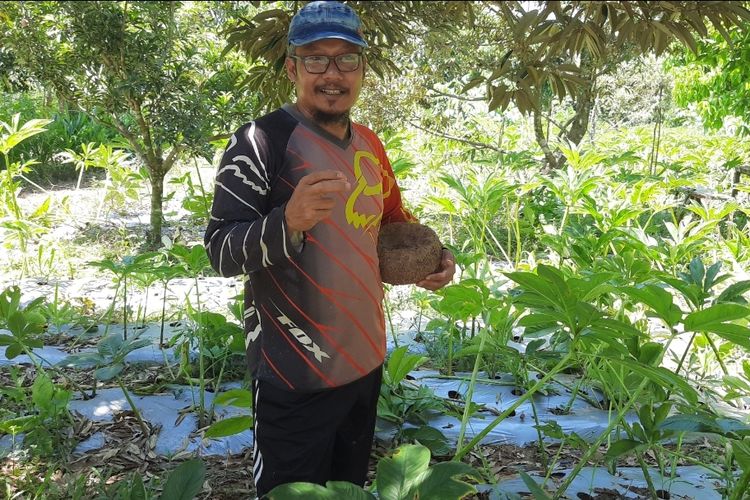 Heriyanto, petani Porang asal Blora yang mengganti lahan tebu menjadi lahan Porang ditemui di kebun Porang miliknya di Desa Karangjong, Ngawen, Blora, Sabtu (17/4/2021)