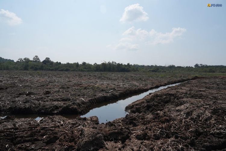 Sekolah Rakyat di Kepri Beroperasi Juli 2027
