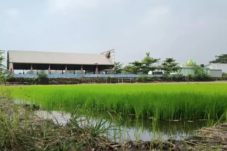 Proyek Ibu Kota Baru Kabupaten Mojokerto Mulai Bebaskan Lahan, Harga Rp 2,2 Juta Per Meter