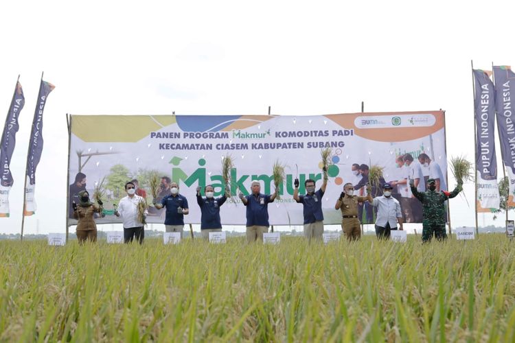 Lewat Program Makmur, Pupuk Indonesia Tingkatkan Produksi Petani 44 Persen