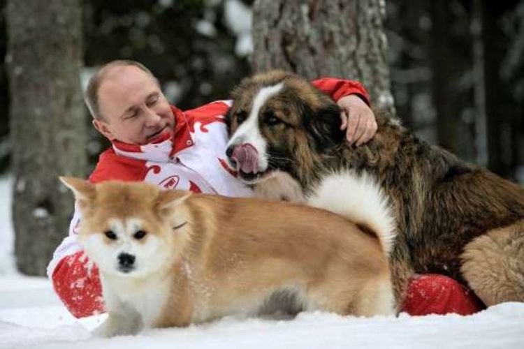 Presiden Rusia Vladimir Putin dan kedua anjingnya. (AFP)