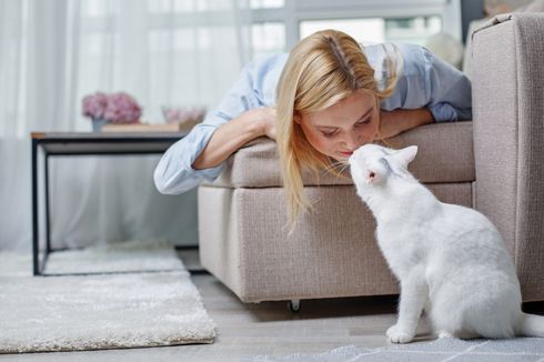 5 Hal yang Menandakan Kucing Peliharaan Mencintai Anda