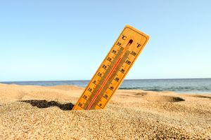 Bumi Makin Panas, Studi Peringatkan Heat Stress Ancam Miliaran Orang