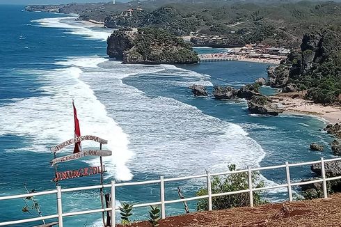 5 Tempat Piknik di Yogyakarta, Hutan sampai di Atas Tebing