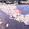 Fenomena Upwelling Sebabkan Ribuan Ikan Nila Mati di Telaga Ngebel Ponorogo, Apa Itu?