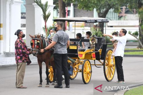 Lebaran di Yogyakarta, Jokowi Ajak Cucu-cucunya Naik Mobil Golf dan Delman