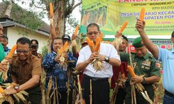 Kementan Minta Bulog Jaga Stabilitas Harga Jagung