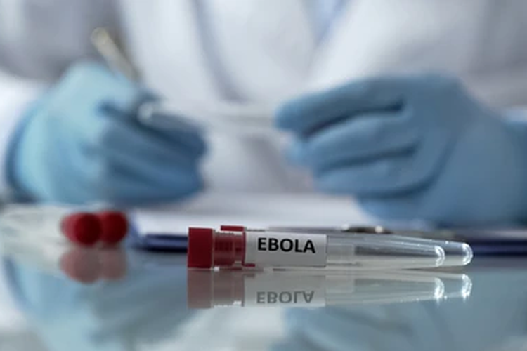 Dokter Meninggal Akibat Ebola di Uganda, Petugas Kesehatan Pertama yang Tewas