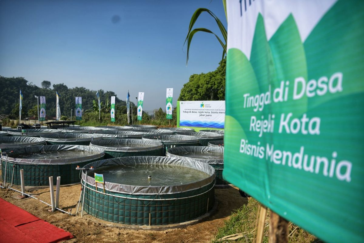 Ilustrasi Program Petani Milenial