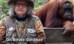 Konservasionis Orangutan Birute Galdikas Meninggal, Ingin Dimakamkan di Kalteng