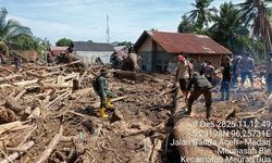 4 Gajah Terlatih Bantu Angkut Material akibat Banjir di Aceh