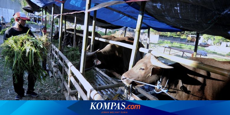 Jangan Asal, Ingat 5 Hal Ini Jika Beli Hewan Kurban Secara Online - Vimarsana News