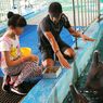 Beda Sea World Ancol dan Ocean Dream Samudra, Jangan Salah Pilih