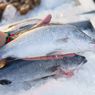 Dosen Unpad: Ini 5 Tips Memilih Ikan Segar