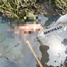 Warga Manggarai Barat Digegerkan Temukan Mayat Bayi di Selokan