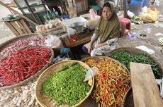 Harga Cabai Melonjak, Asosiasi: Produktivitas Turun karena Hujan, Banyak yang Rontok