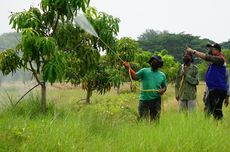 KPI Balongan Gagas Taman Kehati, Program Tanam Pohon untuk Reduksi Karbon