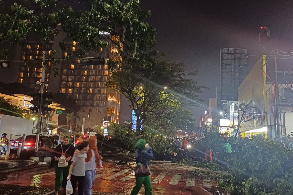 Lalu lintas di Jalan Margonda Raya, Depok, Jawa Barat pada Sabtu (1/6/2024) terpantau macet karena pohon tumbang
