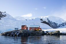 CEK FAKTA: Foto Padang Bunga Greenland Dinarasikan di Antarktika