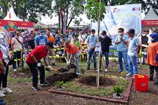 Dukung Penghijauan dan Ulang Tahun Ke-77, KAI Tanam 77.000 Pohon