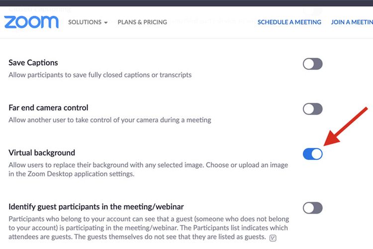 Cara mengaktifkan fitur Virtual Background di Zoom