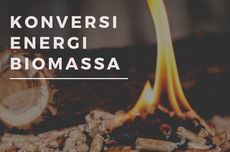 Mengenal Teknologi Konversi Biomassa