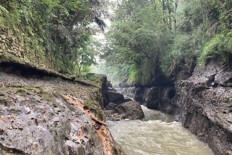 Salah satu titik Sungai Ciliwung yang memiliki pesona indah, lengkap dengan pepohona rindang, serta rerumputan dan semak belukar yang masih hijau dan asri, Kota Bogor, Senin (24/5/2021).