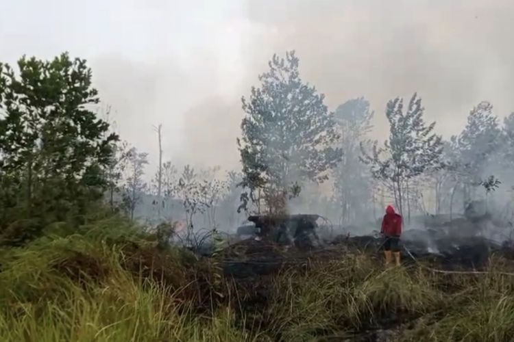Karhutla Berau Kaltim: 435 Hektar Terbakar, BPBD Ungkap Indikasi Ulah Manusia