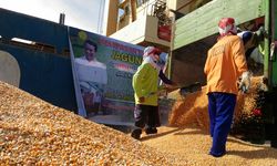 Berhasil Ekspor Jagung, Kesejahteraan Petani di NTB Meningkat