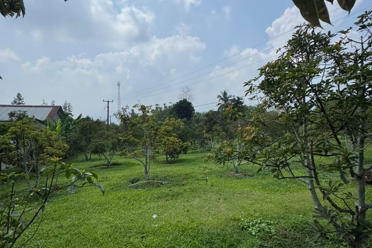 KPK Cek Glamping Kebun Durian dan Alpukat Milik Ipda Yayat Sudrajat 