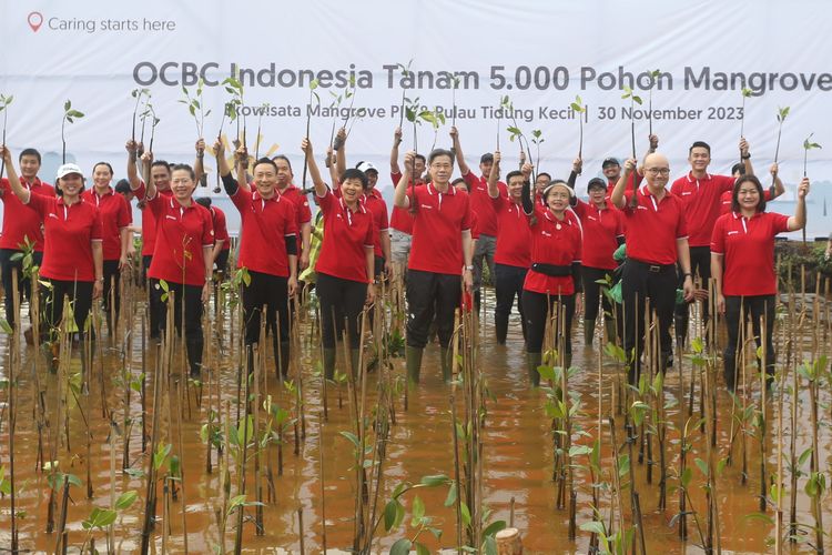 OCBC Indonesi tanam 5.000 mangrove sebagai upaya pencegahan perubahan iklim dan pemanasan global, Kamis (30/11/2023).