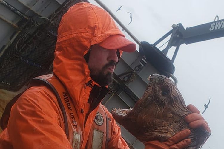 Monster laut berupa belut serigala yang ditangkap Nate Iszac (39) di lepas pantai Alaska, Amerika Serikat, pada 9 Maret 2021.