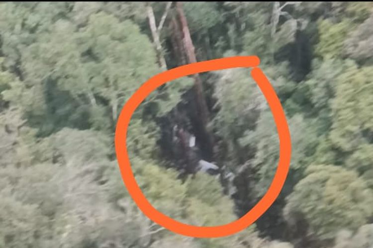 Lokasi diduga jatuhnya pesawat Pilatus di hutan Belantara Kaltara