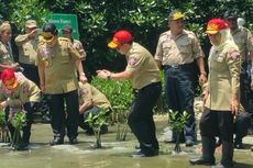 Ulang Tahun Tagana, Mensos Tanam Mangrove dan Lepas Penyu