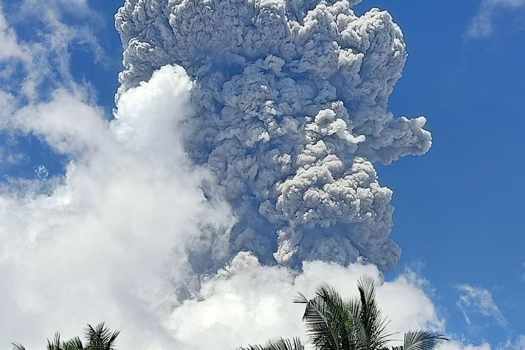 Kolom abu vulkanik Gunungapi Ibu terlihat membumbung tinggi ke angkasa saat terjadi erupsi, Minggu (2/6) pukul 12.35 WIT. Pos Pengamatan Gunungapi Ibu melaporkan tinggi kolom abu tersebut mencapai 7.000 meter dengan lama durasi erupsi kurang lebih 10 menit. (Dokumentasi BNPB)