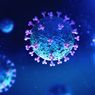 Update Virus Corona di Dunia: Kasus Positif Covid-19 Mencapai 1 Juta