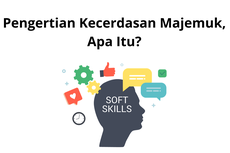 Pengertian Kecerdasan Majemuk, Apa Itu?