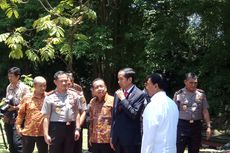 Empat Kali Ikut Pemilihan, Jokowi Mengaku Sudah Paham Situasi Politik