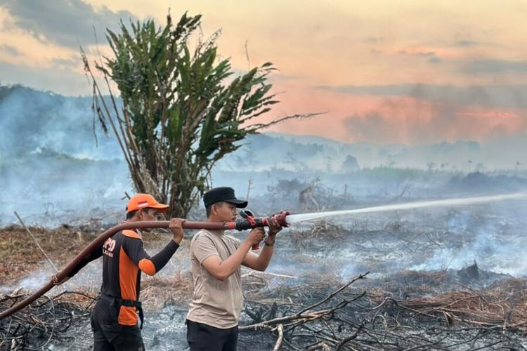 Kebakaran 8 Hektar Lahan Gambut di Kolaka Timur, Polisi Periksa Sejumlah Saksi