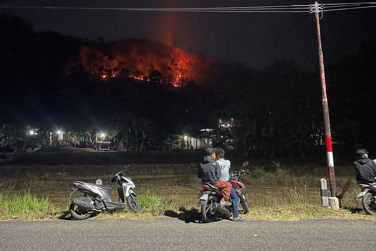 Kebakaran Hutan di Imogiri Hanguskan 8 Hektare Lahan