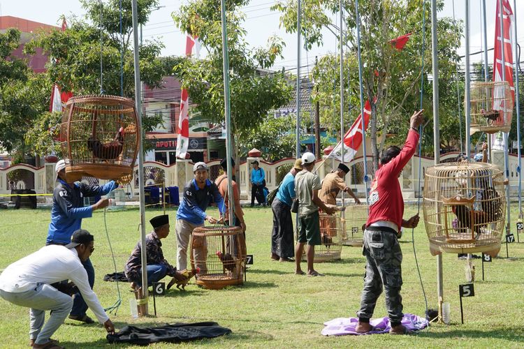 Lomba Seni Suara Ayam Bekisar Bupati Cup tahun ini dari berbagai daerah di Indonesia, seperti Surabaya, Malang, Yogyakarta, Bali, Bogor, Trenggalek, Banyuwangi, Bondowoso, Situbondo, dan Jakarta.