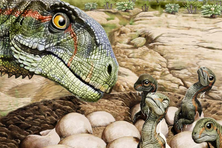 Ilustrasi Mussaurus patagonicus bersama anak-anaknya di sarang. Studi pada lusinan fosil dinosaurus ini menunjukkan bahwa dinosaurus awal hidup berkelompok.
