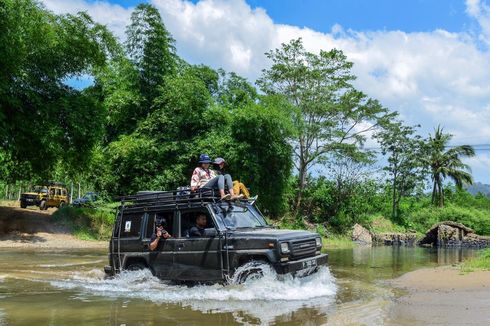 Weekend Ini ke Meru Betiri, Bertualang di Rumah Penyu Belimbing