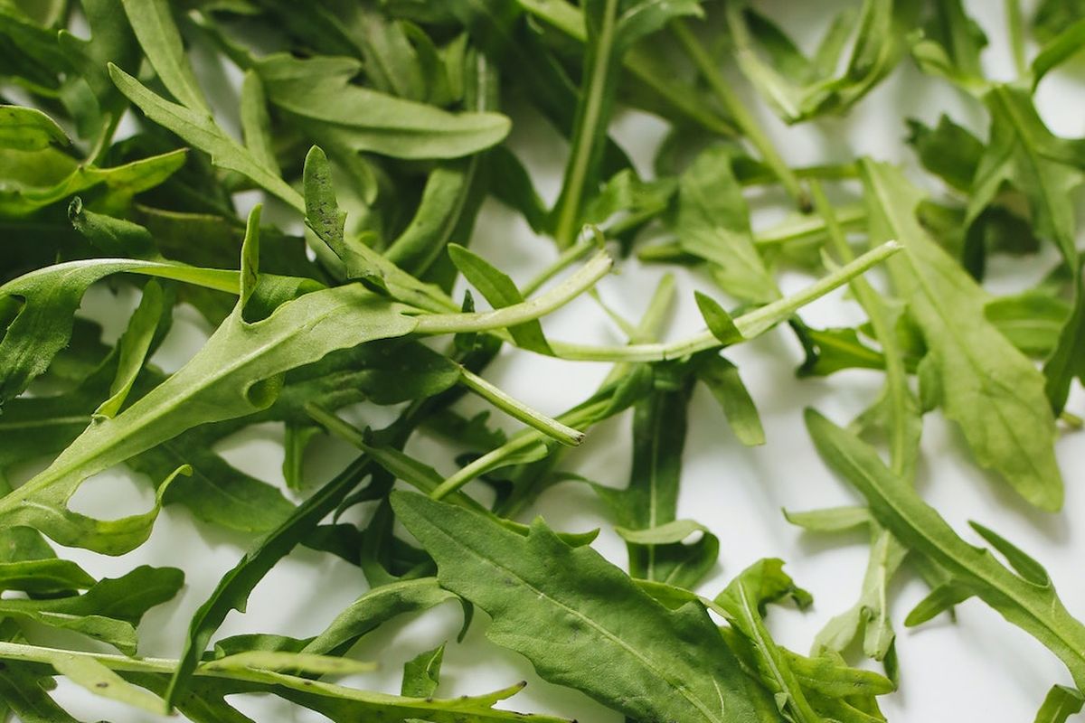 Ilustrasi sayuran arugula. 